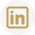 Social icon